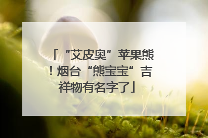 “艾皮奥”苹果熊！烟台“熊宝宝”吉祥物有名字了