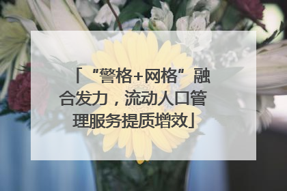 “警格+网格”融合发力，流动人口管理服务提质增效