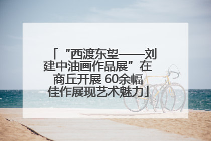 “西渡东望——刘建中油画作品展”在商丘开展 60余幅佳作展现艺术魅力