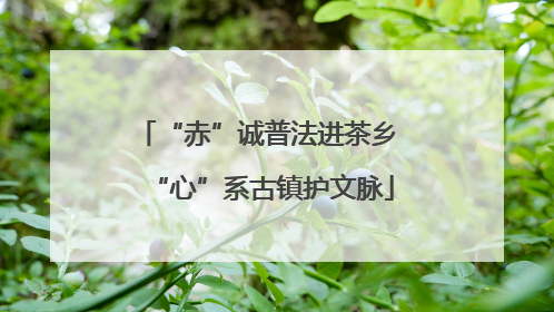 “赤”诚普法进茶乡 “心”系古镇护文脉