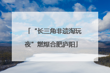 “长三角非遗淘玩夜”燃爆合肥庐阳