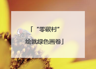 “零碳村” 绘就绿色画卷