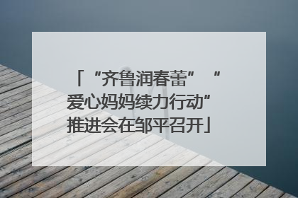 “齐鲁润春蕾”“爱心妈妈续力行动”推进会在邹平召开