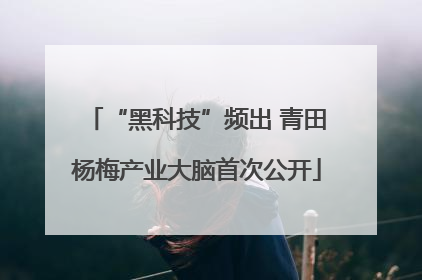 “黑科技”频出 青田杨梅产业大脑首次公开