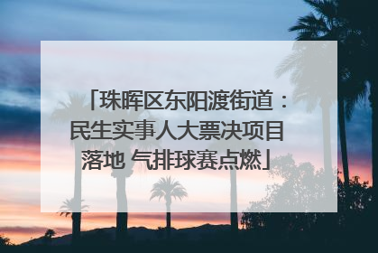 珠晖区东阳渡街道：民生实事人大票决项目落地 气排球赛点燃