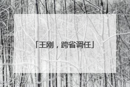 王刚，跨省调任