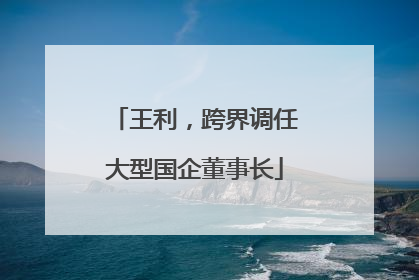王利，跨界调任大型国企董事长