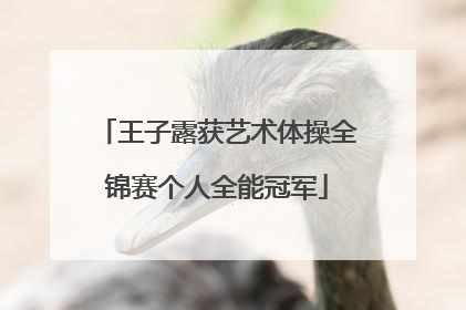 王子露获艺术体操全锦赛个人全能冠军