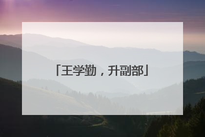 王学勤，升副部