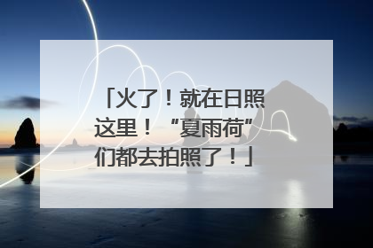 火了！就在日照这里！“夏雨荷”们都去拍照了！