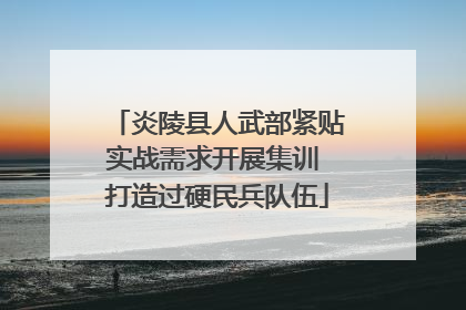 炎陵县人武部紧贴实战需求开展集训 打造过硬民兵队伍