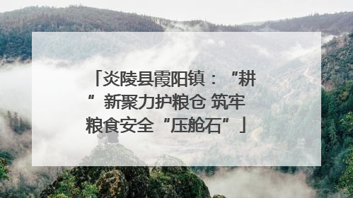 炎陵县霞阳镇：“耕”新聚力护粮仓 筑牢粮食安全“压舱石”