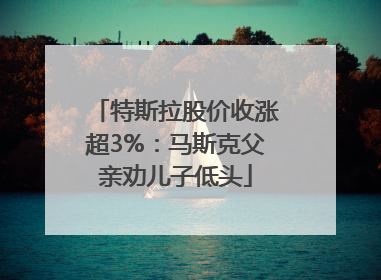 特斯拉股价收涨超3%：马斯克父亲劝儿子低头