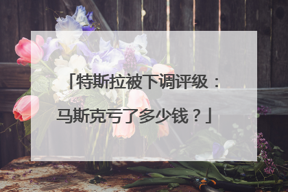 特斯拉被下调评级：马斯克亏了多少钱？