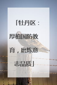 牡丹区：厚植国防教育，磨炼意志品质