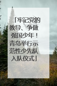 牢记党的教导、争做强国少年！青岛举行示范性少先队入队仪式