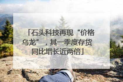 石头科技再现“价格乌龙”，其一季度存货同比增长近两倍