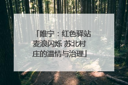 睢宁：红色驿站麦浪闪烁 苏北村庄的温情与治理