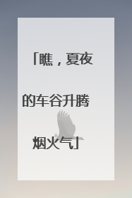 瞧，夏夜的车谷升腾烟火气