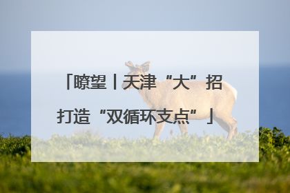 瞭望丨天津“大”招打造“双循环支点”