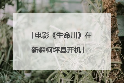 电影《生命川》在新疆柯坪县开机