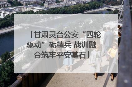 甘肃灵台公安“四轮驱动”砺精兵 战训融合筑牢平安基石