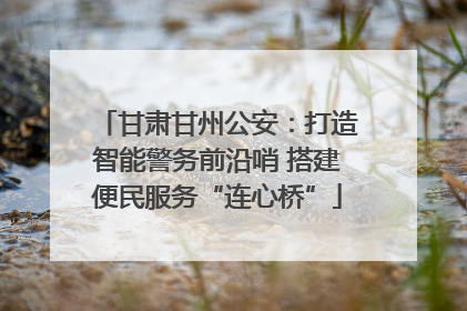 甘肃甘州公安：打造智能警务前沿哨 搭建便民服务“连心桥”