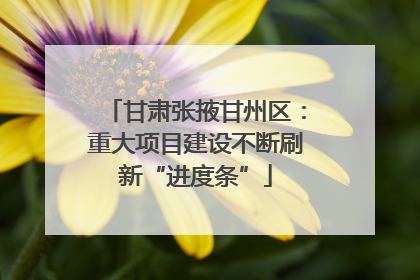 甘肃张掖甘州区：重大项目建设不断刷新“进度条”
