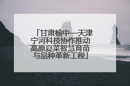 甘肃榆中—天津宁河科技协作推动高原夏菜智慧育苗与品种革新工程