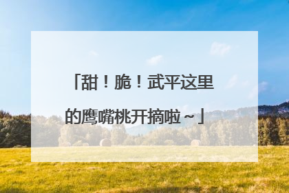 甜！脆！武平这里的鹰嘴桃开摘啦～
