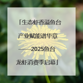 生态虾香溢鱼台 产业赋能谱华章——2025鱼台龙虾消费季启幕