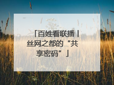百姓看联播丨丝网之都的“共享密码”