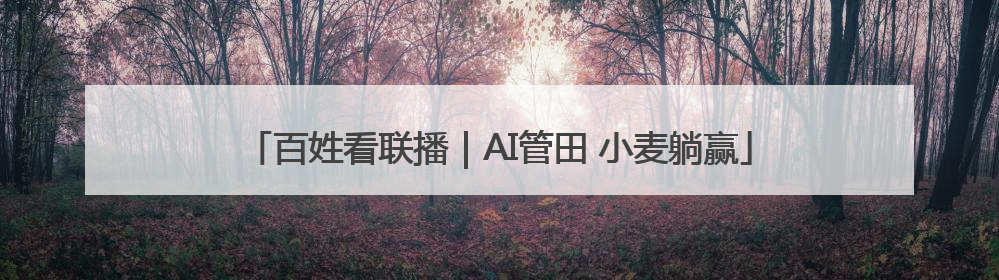 百姓看联播｜AI管田 小麦躺赢