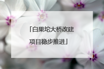 白果坨大桥改建项目稳步推进