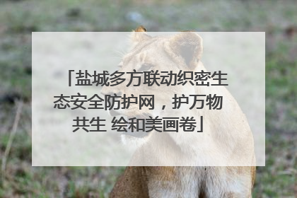 盐城多方联动织密生态安全防护网，护万物共生 绘和美画卷