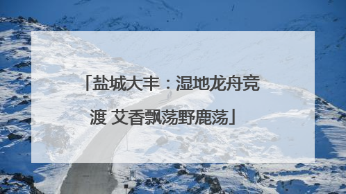 盐城大丰：湿地龙舟竞渡 艾香飘荡野鹿荡