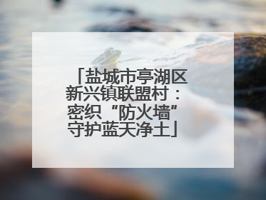 盐城市亭湖区新兴镇联盟村：密织“防火墙”守护蓝天净土