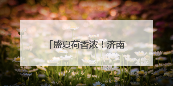 盛夏荷香浓！济南大明湖荷花率先开启“颜值暴击”