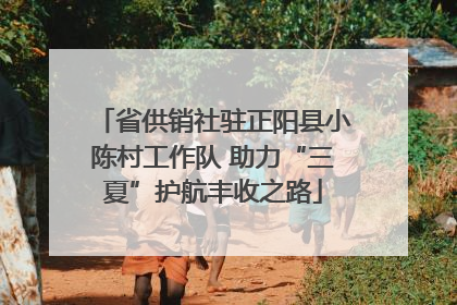 省供销社驻正阳县小陈村工作队 助力“三夏”护航丰收之路