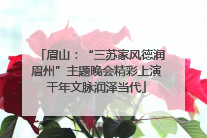 眉山：“三苏家风德润眉州”主题晚会精彩上演千年文脉润泽当代