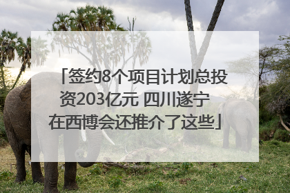 签约8个项目计划总投资203亿元 四川遂宁在西博会还推介了这些