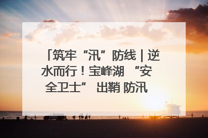 筑牢“汛”防线｜逆水而行！宝峰湖 “安全卫士” 出鞘 防汛应急再添硬核力量