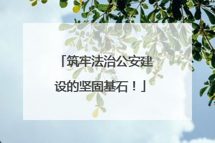 筑牢法治公安建设的坚固基石！