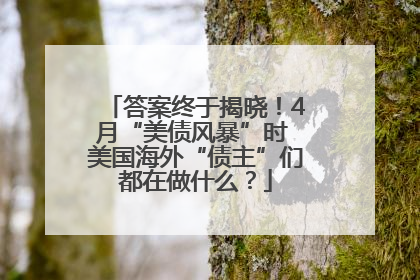 答案终于揭晓！4月“美债风暴”时 美国海外“债主”们都在做什么？