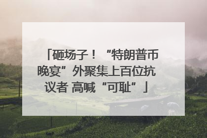 砸场子！“特朗普币晚宴”外聚集上百位抗议者 高喊“可耻”