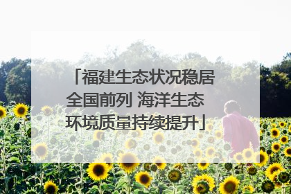 福建生态状况稳居全国前列 海洋生态环境质量持续提升