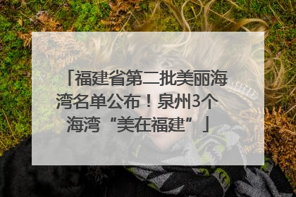 福建省第二批美丽海湾名单公布！泉州3个海湾“美在福建”