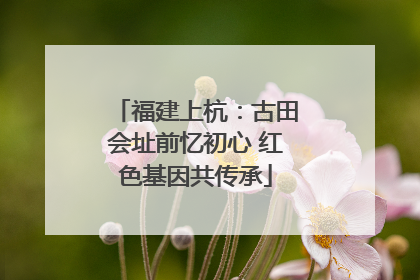 福建上杭：古田会址前忆初心 红色基因共传承