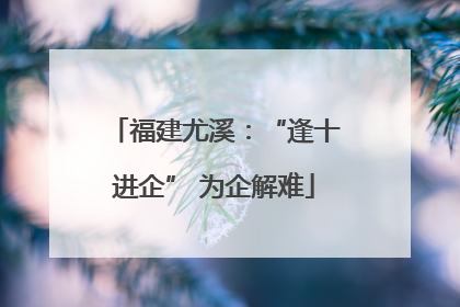福建尤溪：“逢十进企” 为企解难