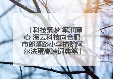 科技筑梦 笔润童心 淘云科技向合肥市郎溪路小学捐赠阿尔法蛋高速词典笔